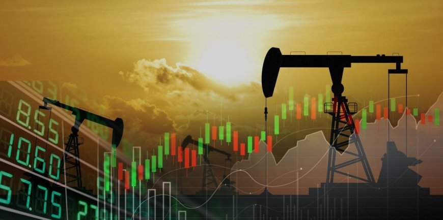 Phân tích thị trường dầu mỏ năm 2024